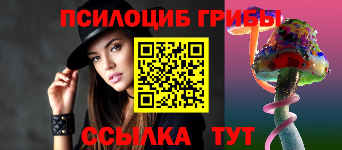 Псилоцибиновые грибы Psilocybine cubensis Димитровград