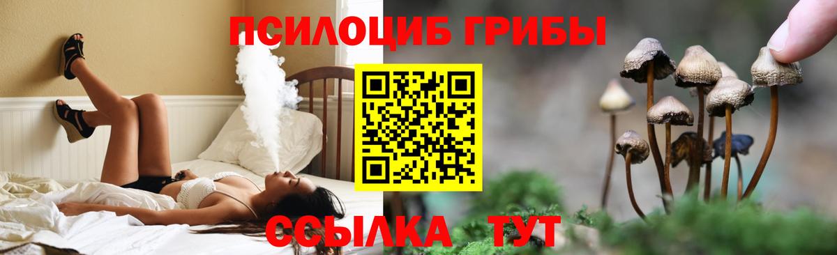 Псилоцибиновые грибы GOLDEN TEACHER  Вход с VPN  закладки  Димитровград 