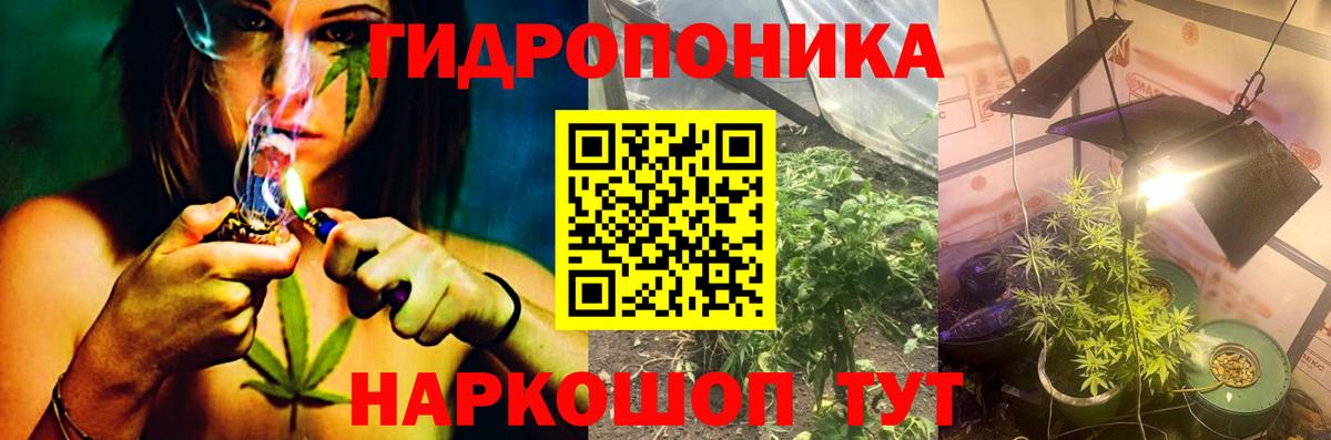 Марихуана тримм Димитровград